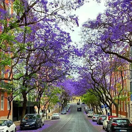 Hope House Privatunterkunft